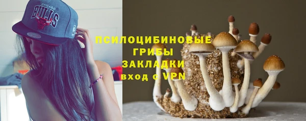 сатива Инта