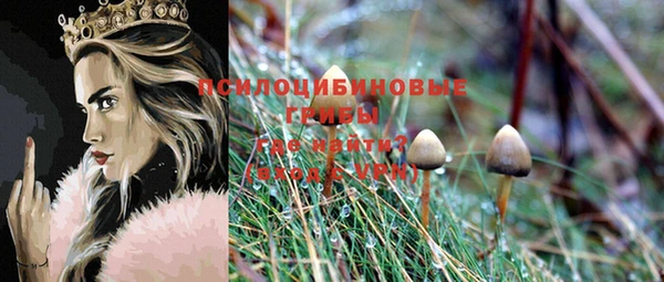 сатива Инта