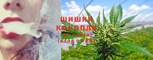 стафф Зеленокумск