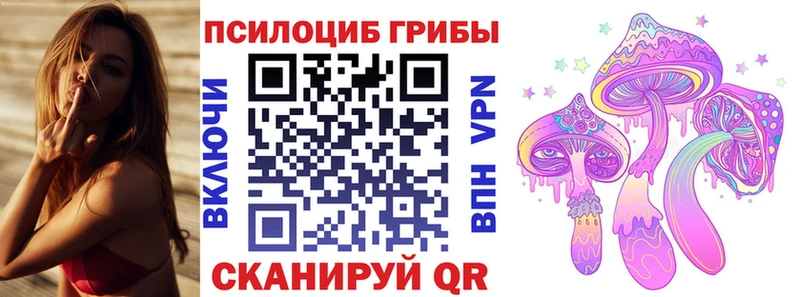 Купить  Мегион  Псилоцибиновые грибы мицелий 